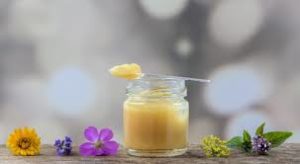 ماهية العسل الملكي وما هي فوائده واضراره عند استعماله 